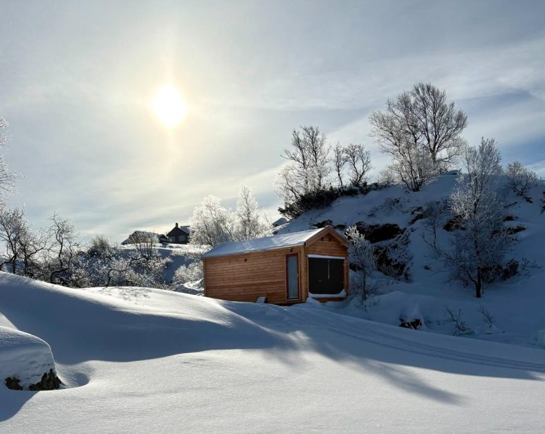 WhatsApp Image 2026-02-20 at 4.10.49 PM